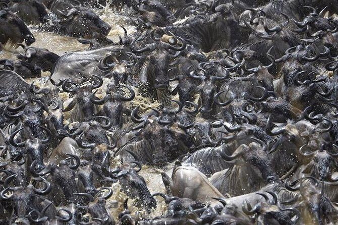Great Migration Safari In Tanzania - Transportation and Comfort