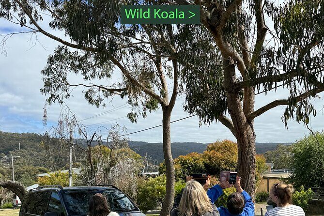 Great Ocean Road 1 Day Luxury Private Tour - Key Points