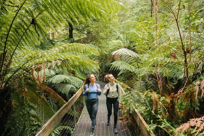 Great Ocean Road 1 Day Luxury Private Tour - FAQ