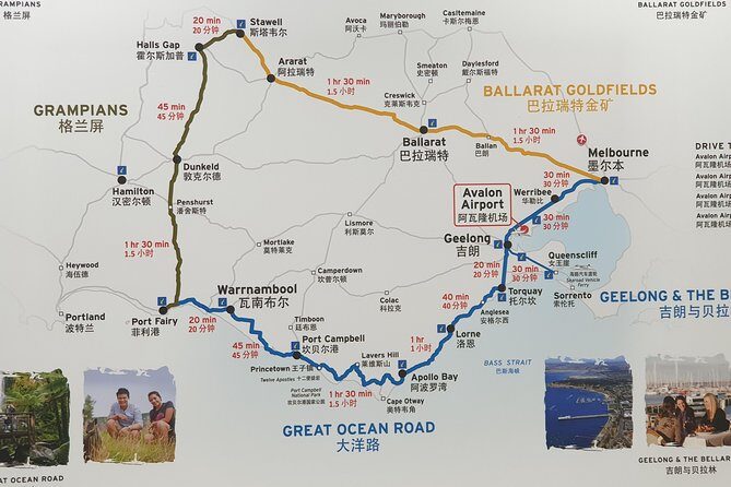 Great Ocean Road 12 Apostles kangaroo, koala and chocolate tour - Practical Aspects and Tips for Travelers