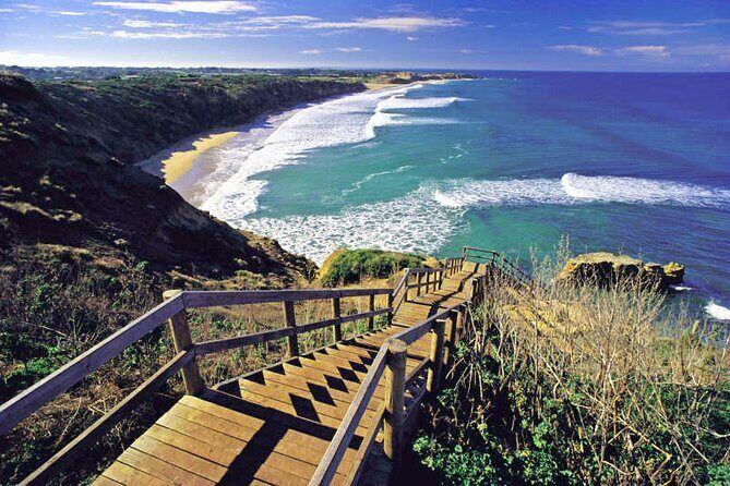 Great Ocean Road 12 apostles PRIVATE Luxury Tour 5 PAX all incl. - An In-Depth Look at the Itinerary