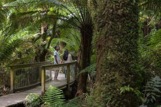 Great Ocean Road, 12 Apostles, Rainforest & Morning Tea-Melbourne - The Itinerary Breakdown