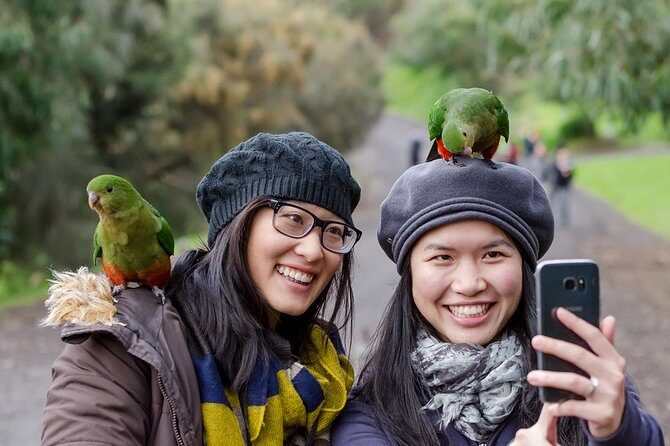 Great Ocean Road, 12 Apostles, Rainforest & Morning Tea-Melbourne - The Price and Overall Value