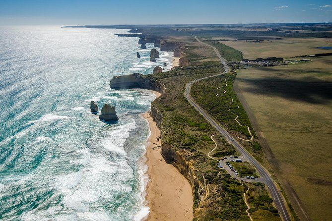 Great Ocean Road 12 Apostles & Rainforest Walk with Morning Tea - Key Points