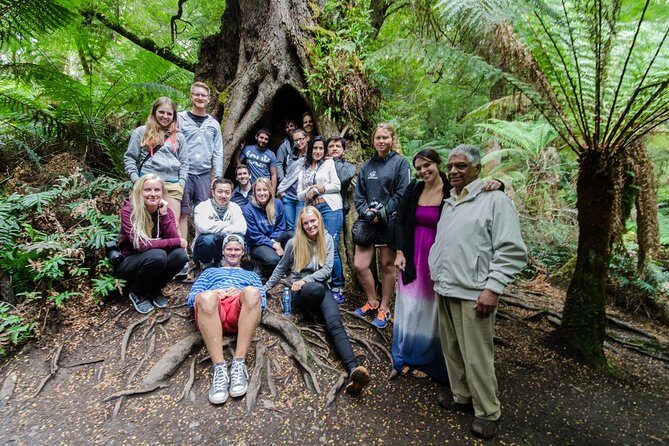 Great Ocean Road 12 Apostles & Rainforest Walk with Morning Tea - Final Thoughts: Who Will Love This Tour?