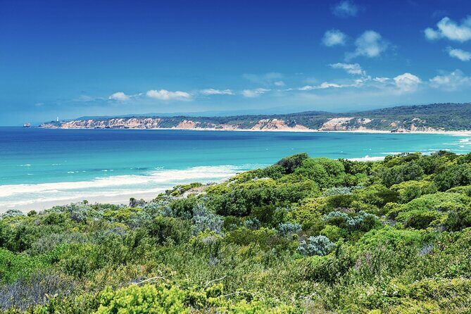 Great Ocean Road and 12 Apostles Tour - Final Thoughts