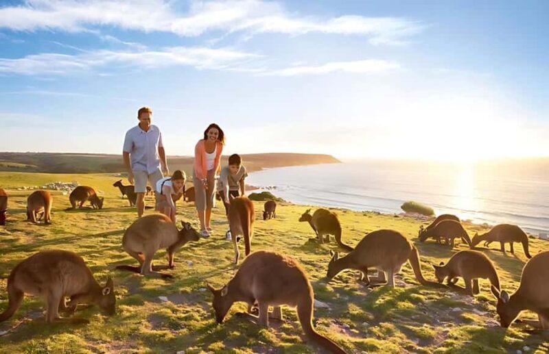 Great Ocean Road and Wildlife Day Tour - Starting the Day: Comfortable Transport and Personal Touch