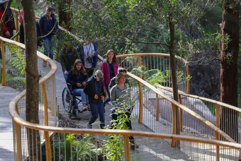 Great Ocean Road: Guided Wildlife Walk that Supports Nature - The Value of Supporting Conservation