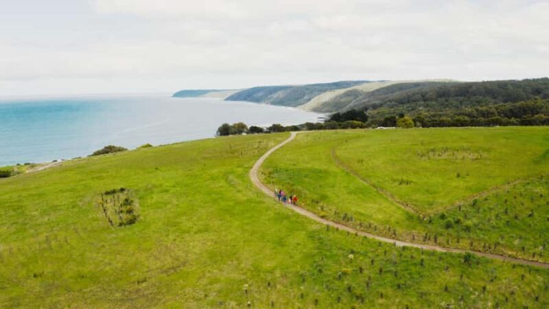 Great Ocean Road: Guided Wildlife Walk that Supports Nature - FAQ