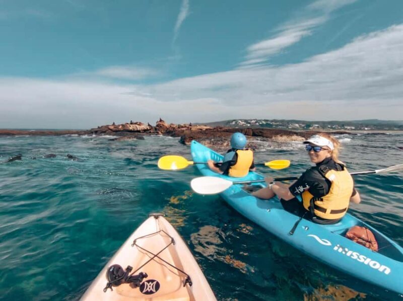 Great Ocean Road: Kayaking with Seals Tour - A Closer Look at the Kayaking with Seals Tour