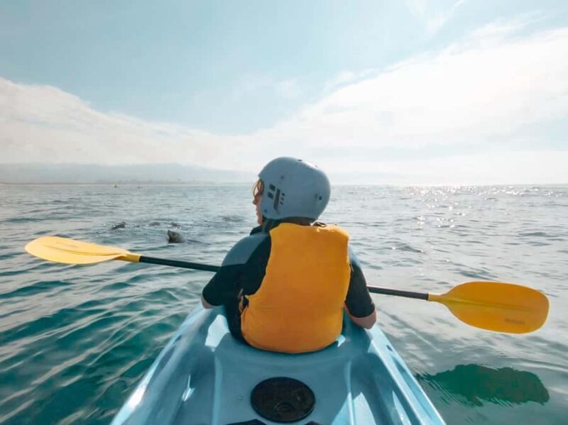 Great Ocean Road: Kayaking with Seals Tour - Itinerary Breakdown