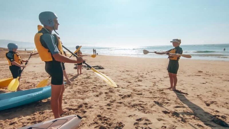 Great Ocean Road: Kayaking with Seals Tour - Authentic Insights from Travelers