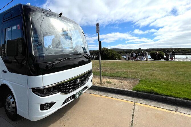 Great Ocean Road Must-See Extended Tour 12 Apostles & Beyond - Who Is This Tour Best For?