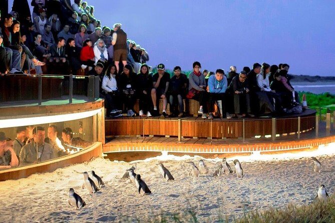 Great Ocean Road Private Day Tour - FAQ