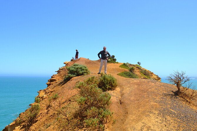 Great Ocean Road - Private Discovery Tour - Introduction: Why This Tour Might Be Your Best Choice
