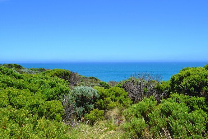 Great Ocean Road - Private Discovery Tour - The Price and Its Value