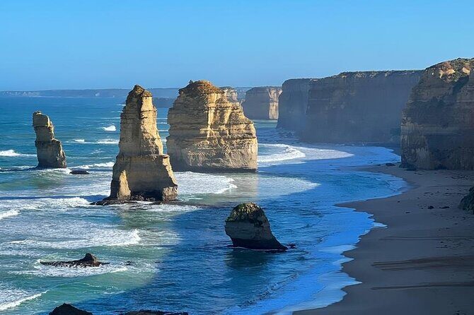Great Ocean Road Private Tour In Luxury Vehicle.Customised Option - Exploring the Otway Rainforest