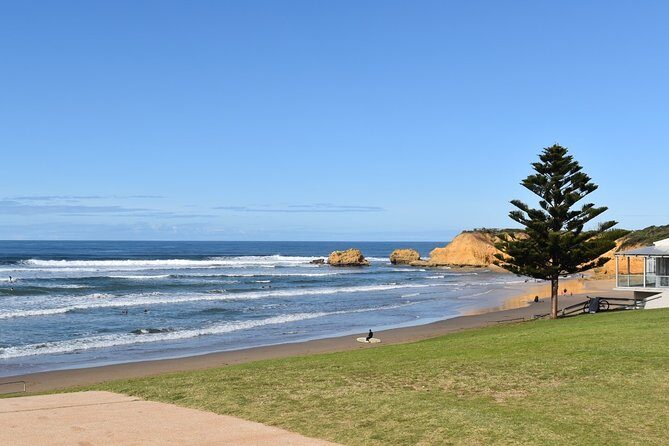 Great Ocean Road Tour Plus Koalas, Forest Walk and Morning Tea - Practical Details