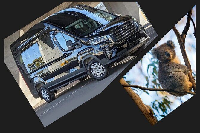 Great Ocean Road Tour Reverse SML GRP-DLUX Mini Bus Hotel Pickup - Who Will Love This Tour?