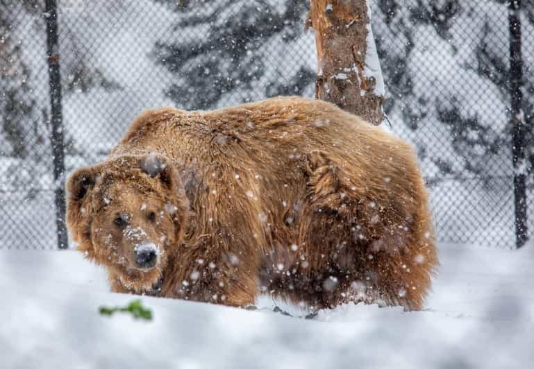 Great Plains Zoo - An Honest Look at the Great Plains Zoo