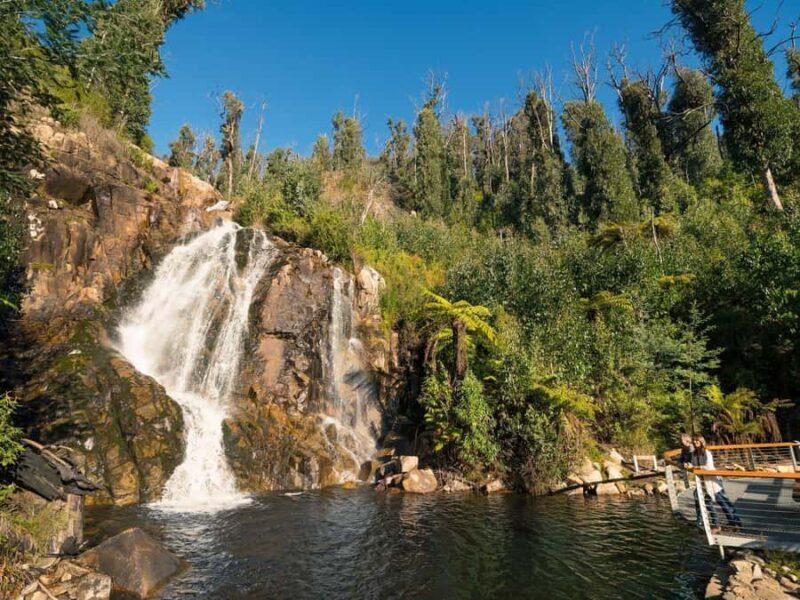 Great Private Tours Luxe Bus Lake Mountain Snow Play Tour - Why This Tour Offers Great Value