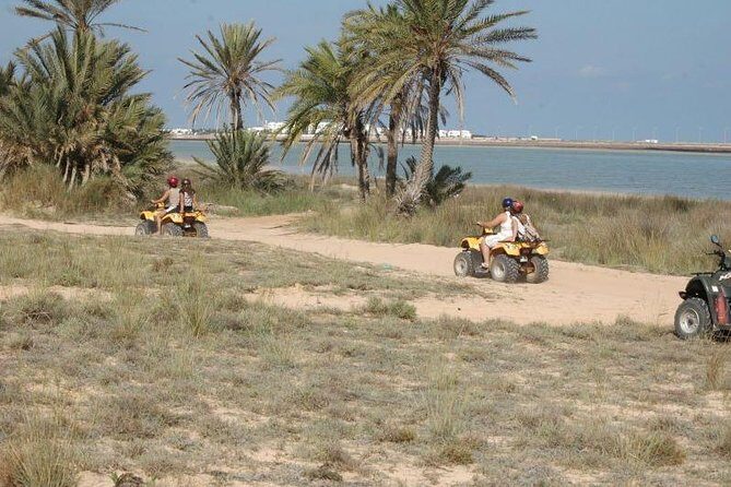 Great ride forest and blue lagoon in quad - Price and Value Analysis