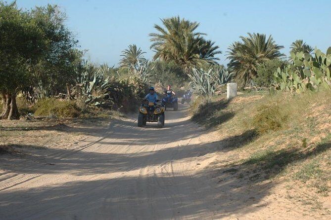 Great ride forest and blue lagoon in quad - The Sum Up
