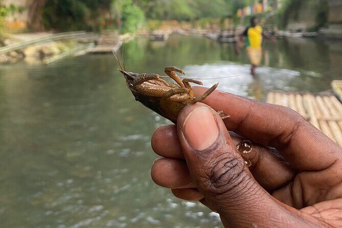 Great River Rafting - Limestone Foot Massage and ATV Rides From Montego Bay - Who Should Consider This Tour?