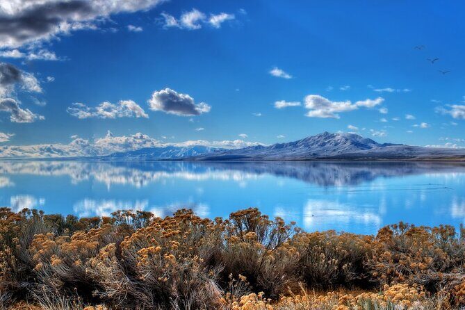 Great Salt Lake and Antelope Island Day Tour - A Deep Dive into the Experience