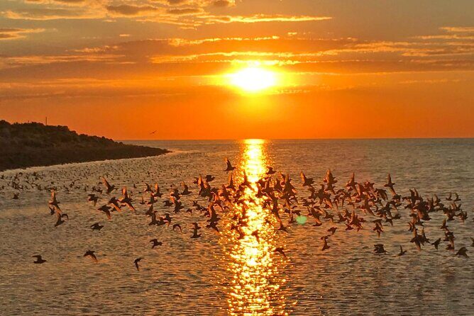 Great Salt Lake Birding and Nature Adventure - The Experience: What You Can Expect