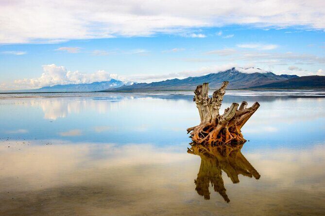 Great Salt Lake Guided Bus Tour from Salt Lake City - Great Salt Lake Guided Bus Tour from Salt Lake City: An Honest Look
