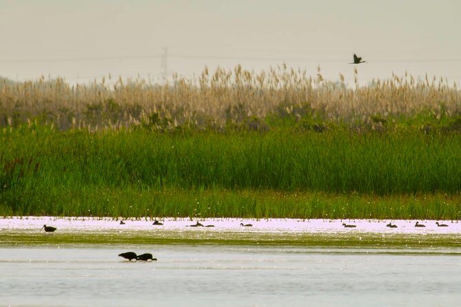 Great Salt Lake Guided Bus Tour from Salt Lake City - Final Thoughts: Is It Worth It?