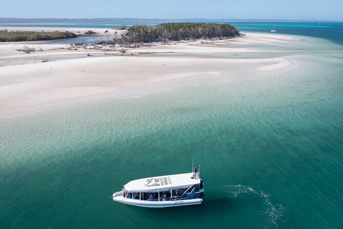 Great Sandy Straits Seven Island Ultimate Wildlife Cruise - Exploring the Great Sandy Straits Seven Island Wildlife Cruise: A Practical Review