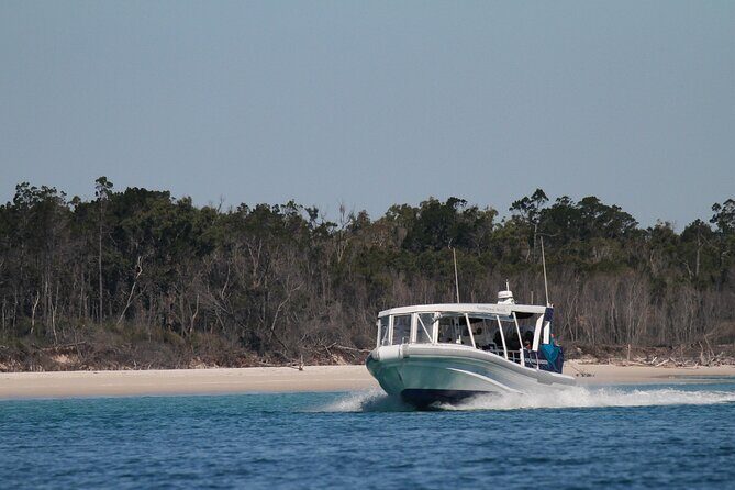 Great Sandy Straits Seven Island Ultimate Wildlife Cruise - What Youll Experience