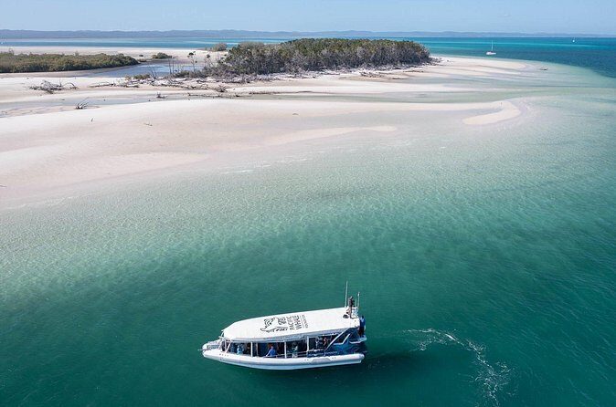 Great Sandy Straits Seven Island Ultimate Wildlife Cruise - Group Size and Logistics