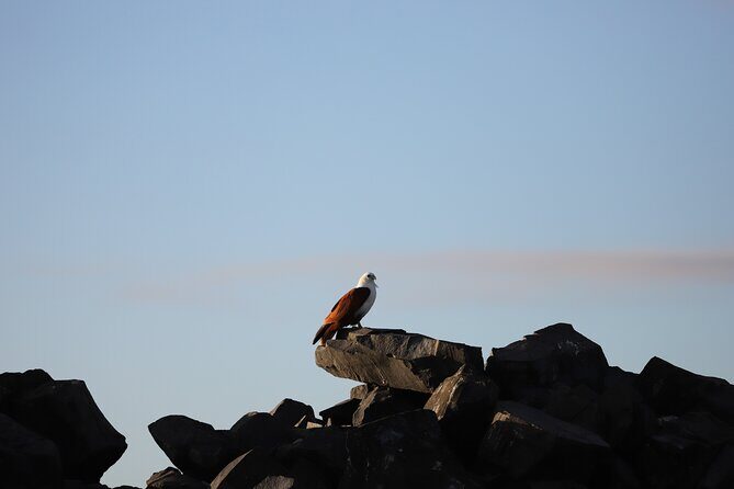 Great Sandy Straits Seven Island Ultimate Wildlife Cruise - FAQ