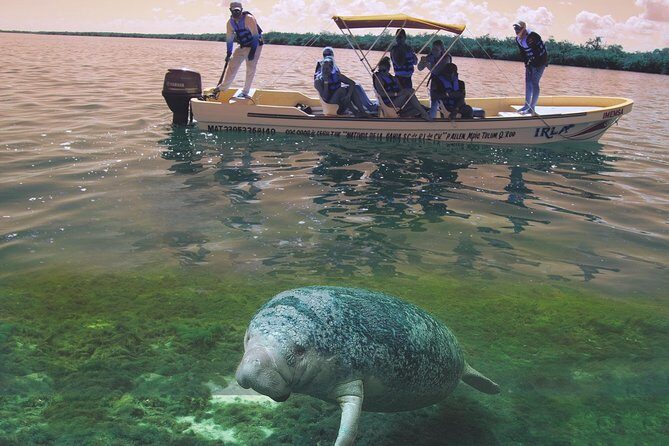 Great Saving: Sian Kaan Tour-expedition - The Experience: A Step-by-Step Look