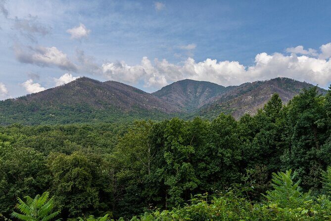 Great Smoky Mountains & Cades Cove Self-Guided Driving Tours - Who Should Consider This Tour?