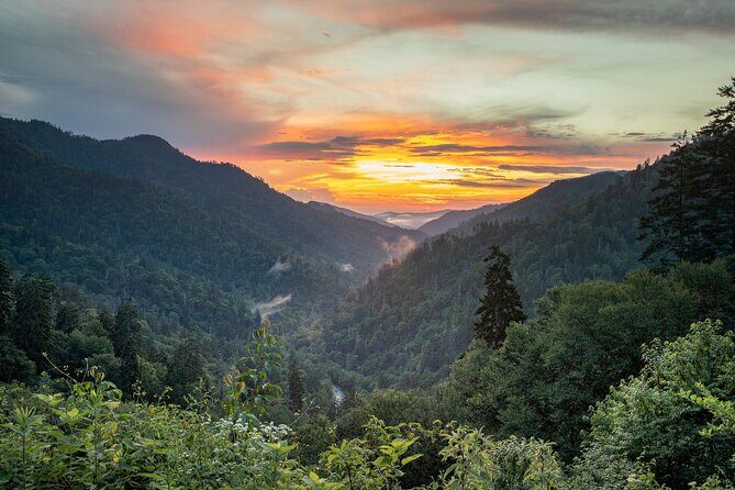 Great Smoky Mountains & Cades Cove Self-Guided Driving Tours - FAQs