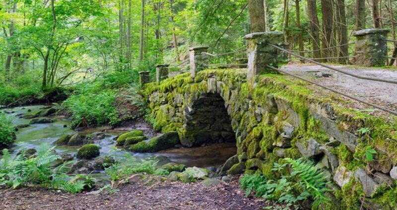 Great Smoky Mountains: Elkmont Historic District Tour - Why This Tour Offers Great Value