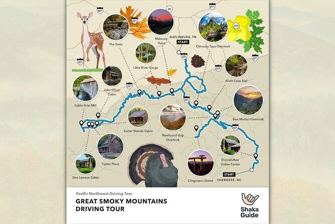 Great Smoky Mountains National Park Self-Guided Audio Tour - An In-Depth Look at the Itinerary