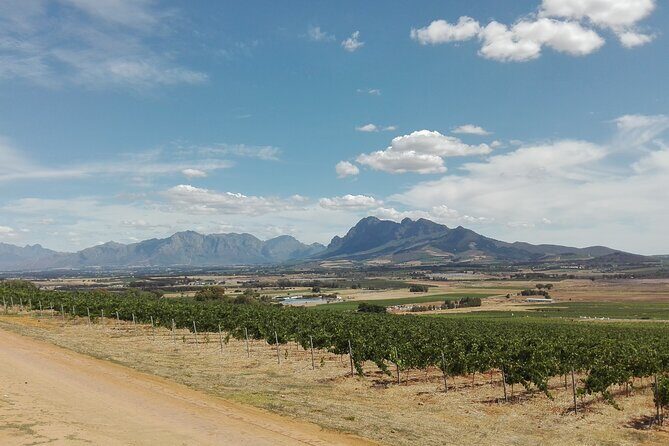 Greatest Wine Tour of the Cape Winelands - Key Points