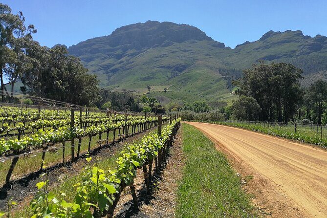 Greatest Wine Tour of the Cape Winelands - Transportation and Punctuality