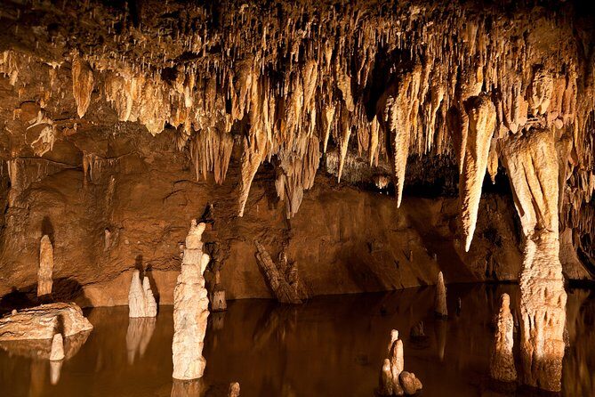 Green Grotto Caves Excursion from Ocho Rios - The Value for Money