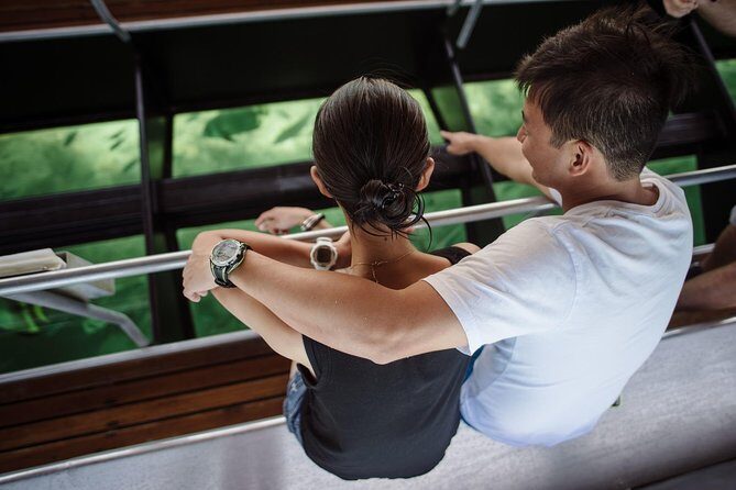 Green Island Day Trip from Cairns with Beaches Transfers - How the Tour Works: An In-Depth Look