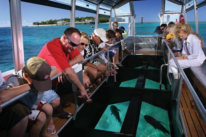 Green Island Half-Day Trip from Cairns - Real-World Feedback and Authentic Insights