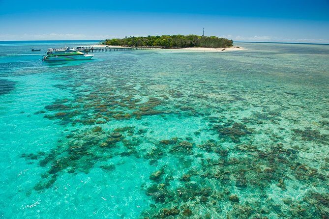 Green Island Half-Day Trip from Cairns - Final Thoughts