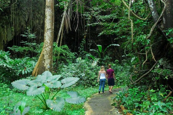 Green Monkey Time - The Itinerary in Detail