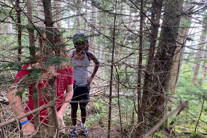 Green Mountain Adventure Challenge Passes - What Real Participants Say (Based on Reviews)