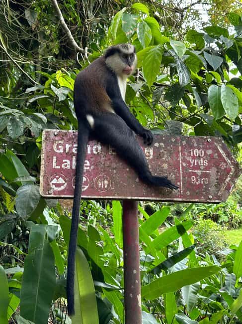 Grenada: Annandale Waterfall, Grand Etang, Grand Anse beach - Key Points
